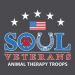 Veterans’ Weekend at the SOUL Harbour Ranch June 2022